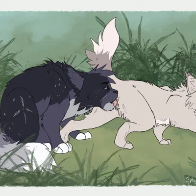 fan character, night (thenerdalope) (warriors (book series)) created by sphynxxx