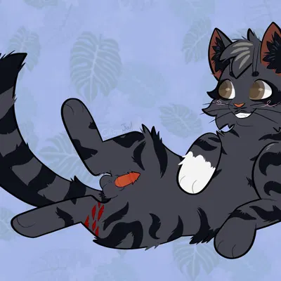 fan character (warriors (book series)) created by catboyjail