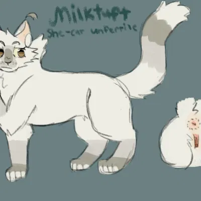 fan character (warriors (book series)) created by milktuft