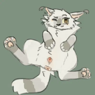 fan character (warriors (book series)) created by milktuft