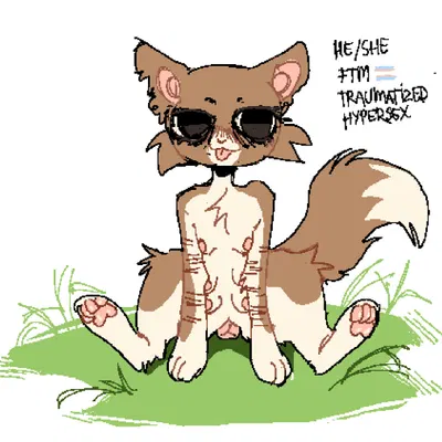 fan character (warriors (book series)) created by suzfurluvz