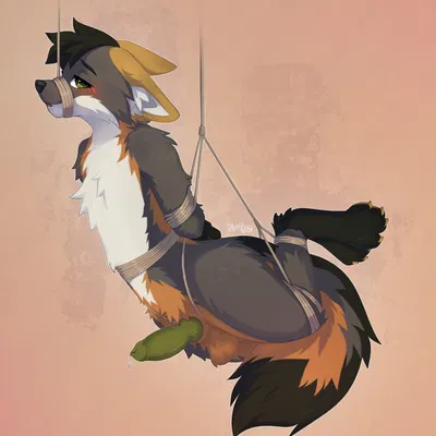 fin the fox created by horitoy
