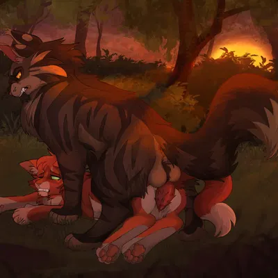 firestar (warriors), tigerstar (the prophecies begin) (warriors (book series)) created by wastepaw