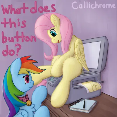 fluttershy (mlp), rainbow dash (mlp) (friendship is magic, hasbro) created by callichrome