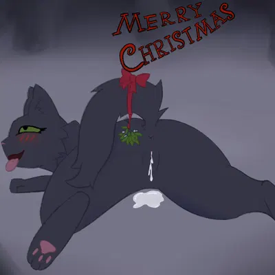 hollyleaf (warriors) (christmas, warriors (book series)) created by soliloquysol