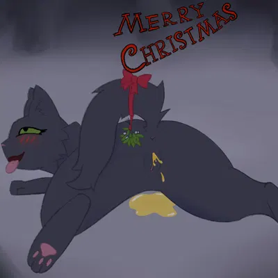 hollyleaf (warriors) (christmas, warriors (book series)) created by soliloquysol