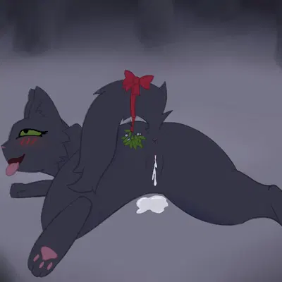 hollyleaf (warriors) (christmas, warriors (book series)) created by soliloquysol