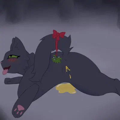 hollyleaf (warriors) (christmas, warriors (book series)) created by soliloquysol