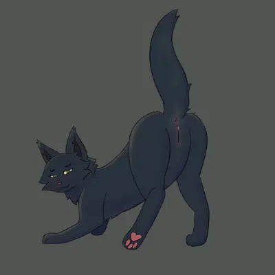 hollyleaf (warriors) (warriors (book series)) created by soliloquysol