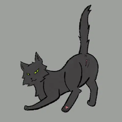 hollyleaf (warriors) (warriors (book series)) created by soliloquysol