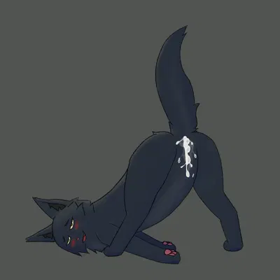 hollyleaf (warriors) (warriors (book series)) created by soliloquysol