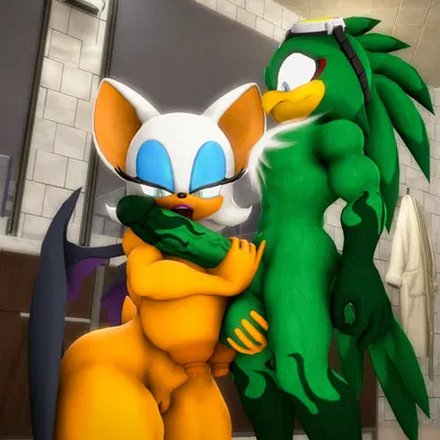 jet the hawk, rouge the bat (sega, sonic riders) created by juicyducksfm