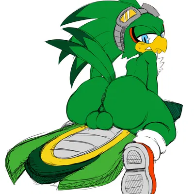 jet the hawk (sega, sonic riders) created by sssonic2, third-party edit