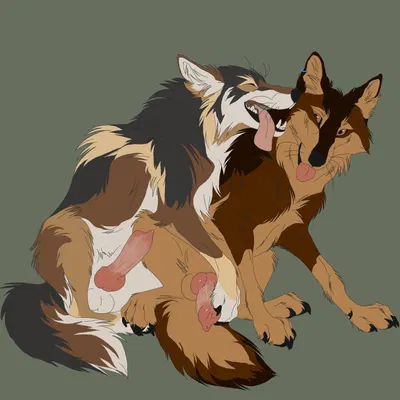 karn (karn the wolf), taki (taki-wolf) created by wavyrr