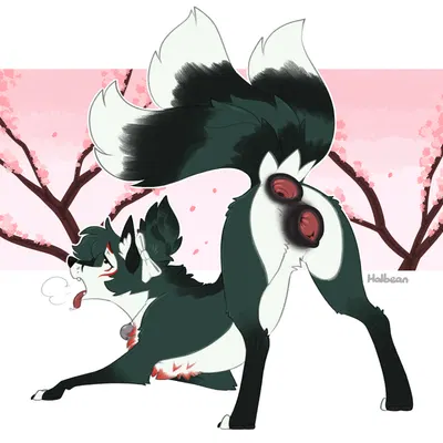 kiko (lynx scenting) created by halbean