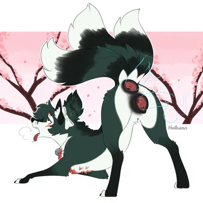 kiko (lynx scenting) created by halbean