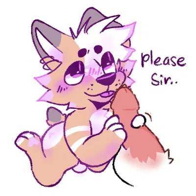 korgs created by oapakorgs