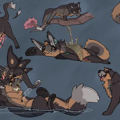 korwin created by meldritchhorror