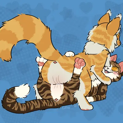 leafpool (warriors), mothwing (warriors) (warriors (book series)) created by catboyjail