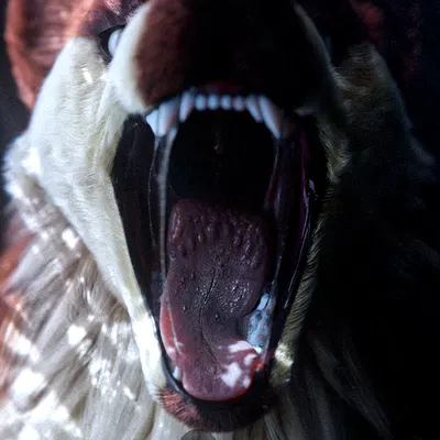 maple (shinyumbra) created by shinyumbra