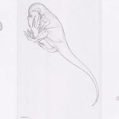 mel (plumaserpens) created by zw3