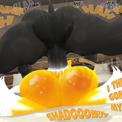 miles prower, shadow the hedgehog (sega, sonic the hedgehog (series)) created by neotaurus