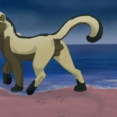 morokai created by caraluca