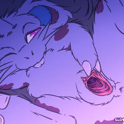 nintendo, pokemon created by suiro