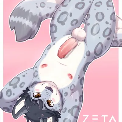 novus created by zeta-haru