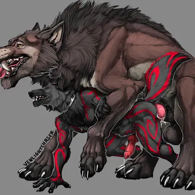 omega wolf (soulwolven) created by venlightchaser