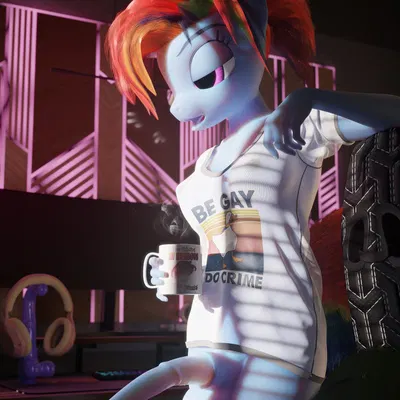 rainbow dash (mlp) (be gay do crimes, friendship is magic) created by burrymare