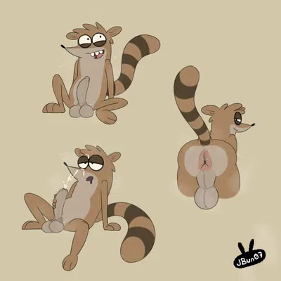 rigby (regular show) (cartoon network, regular show) created by jbun07