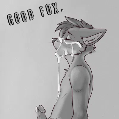 rk (pawprincess) created by pawprincess