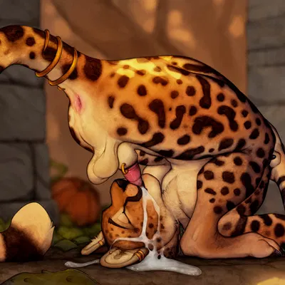 roidhcheetah created by anchee