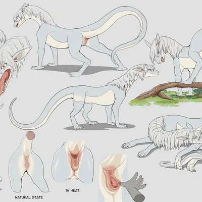 sherian created by shebeast