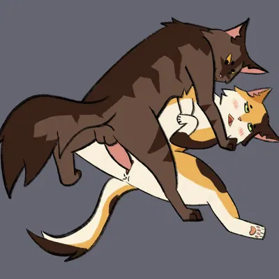 tawnypelt (warriors), tigerstar (the prophecies begin) (warriors (book series)) created by soliloquysol