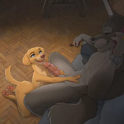 the bottomless district created by zaush