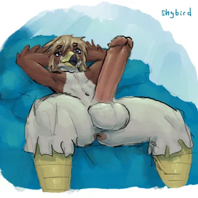 torian (shybird) created by shybird