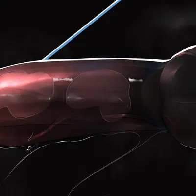 tweetfur (twitter) created by zenfry