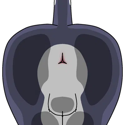 alkezite (oddlypolygonalpittie) created by oddlypolygonalpittie