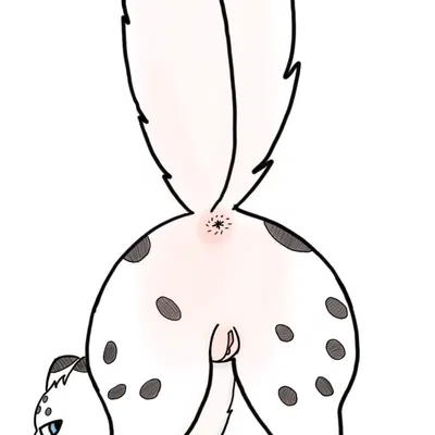 almond (fabulous beasts) (fabulous beasts, fenz (studio)) created by limxxaa