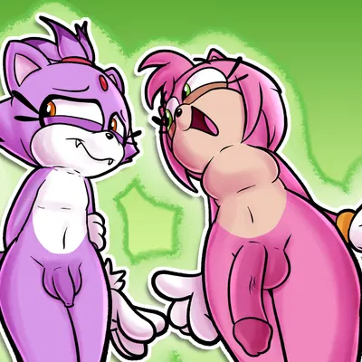 amy rose, blaze the cat (sega, sonic adventure) created by baggy (artist)