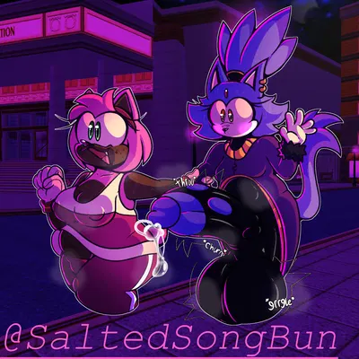 amy rose, blaze the cat (sega, sonic the hedgehog (series)) created by caramelody