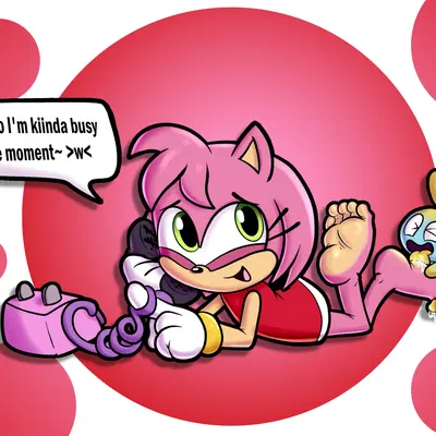 amy rose (sega, sonic the hedgehog (series)) created by baggy (artist)