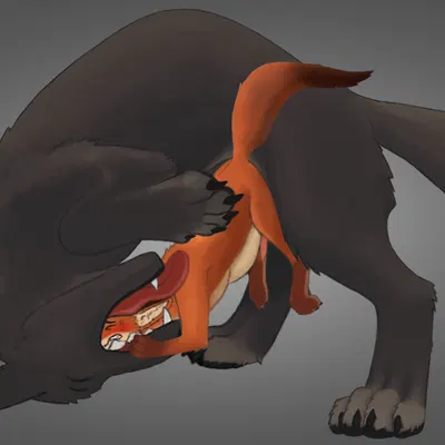 anal, anal knotting, anal penetration, anthro