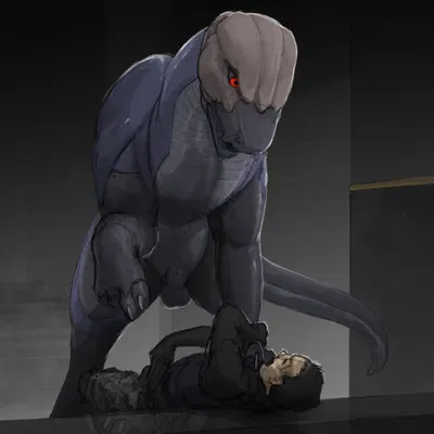 auk (bjarko) created by ipoke