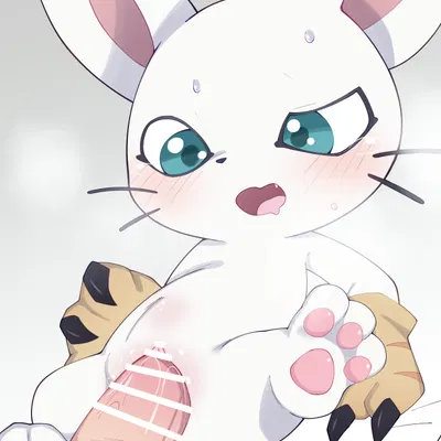 bandai namco, digimon created by himimi