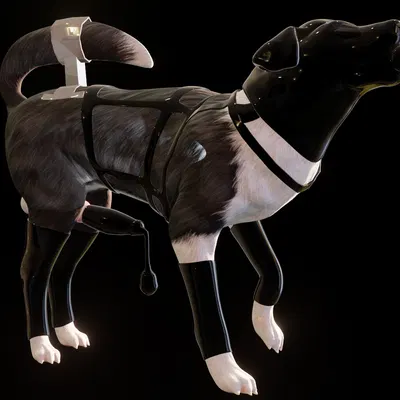 barkley (canine conundrum) created by anonyartist3d