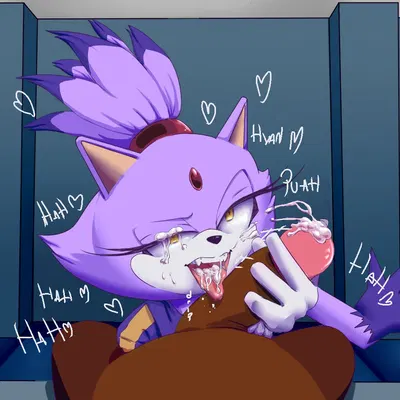 blaze the cat (sega, sonic the hedgehog (series)) created by nes panda