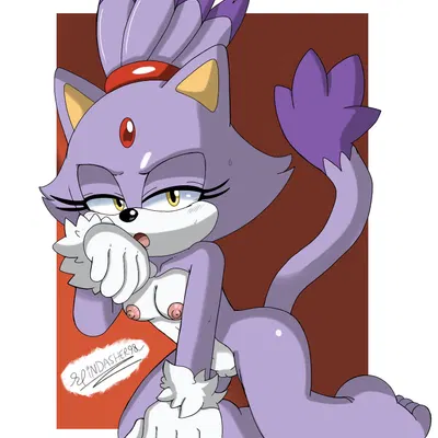 blaze the cat (sega, sonic the hedgehog (series)) created by spindasher98